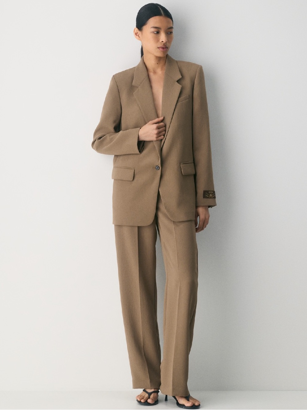 Babaton New Agency Blazer NWT in saville